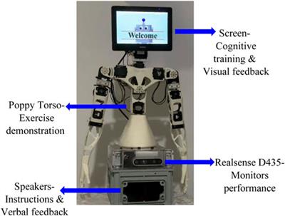 Assimilation of socially assistive robots by older adults: an interplay of uses, constraints and outcomes